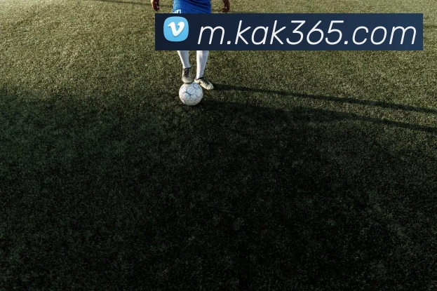 bet365中文网服务体系